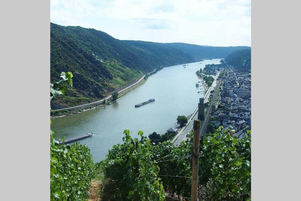 Rheinblick Am Rhein Apartment Bacharach