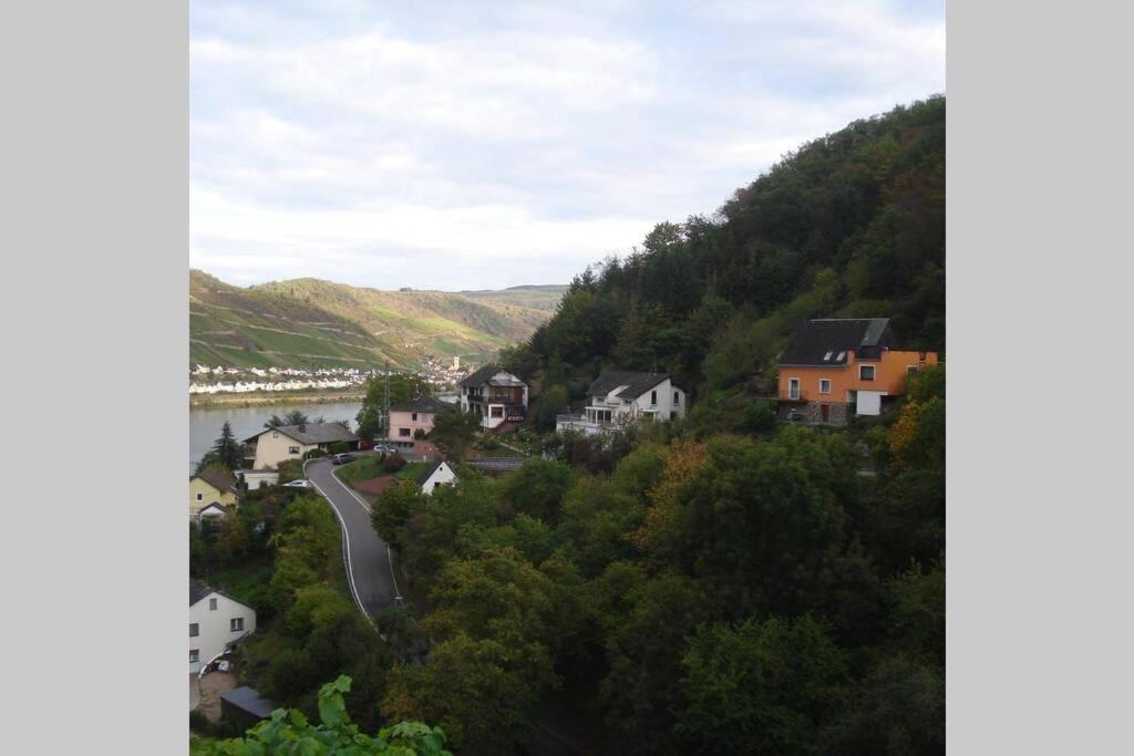 Rheinblick Am Rhein Apartment